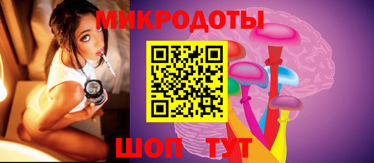 Псилоцибиновые грибы Psilocybe Кизилюрт